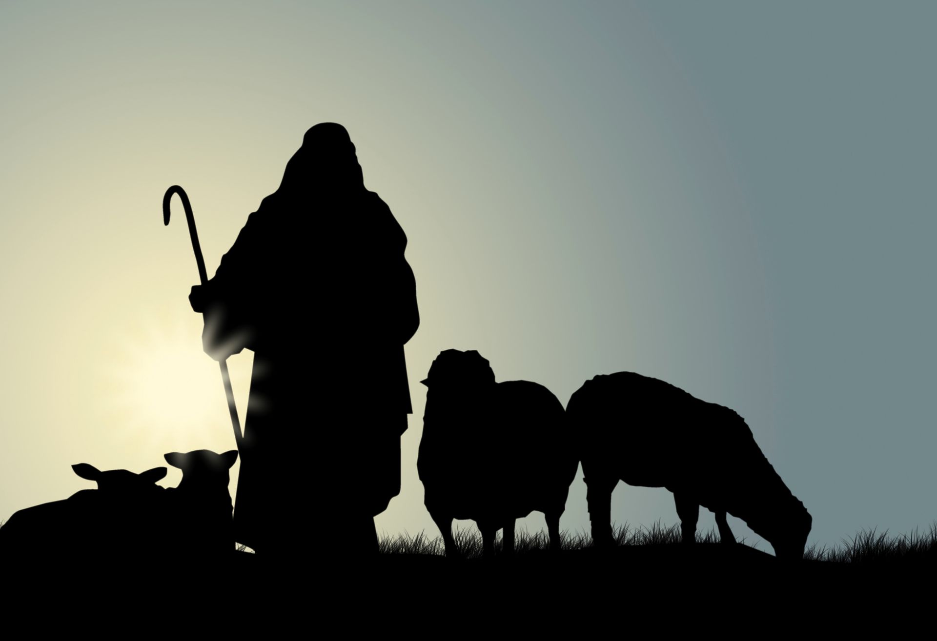 Image of a shepherd and flock in silhouette